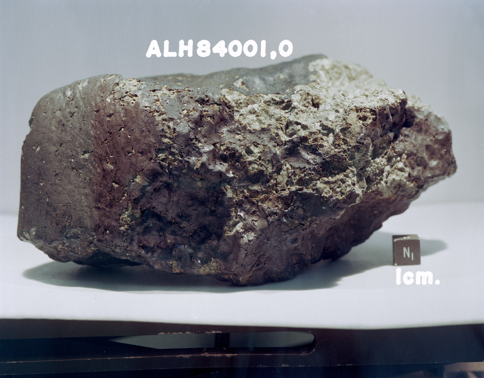 La météorite martienne ALH 84001, trouvée en 1984 en Antarctique