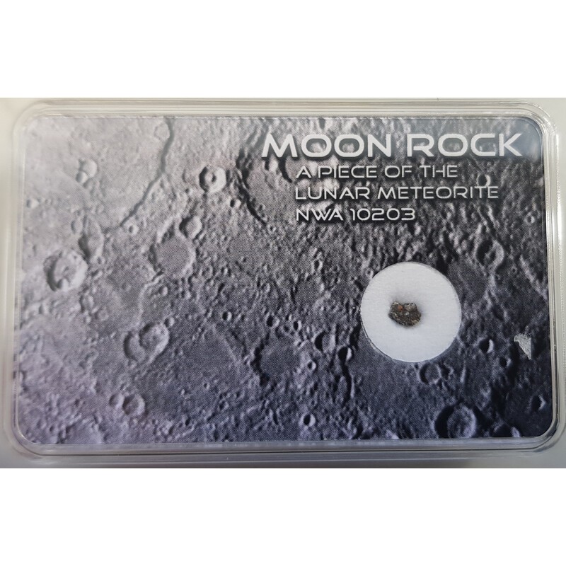 Véritable météorite lunaire NWA 10203