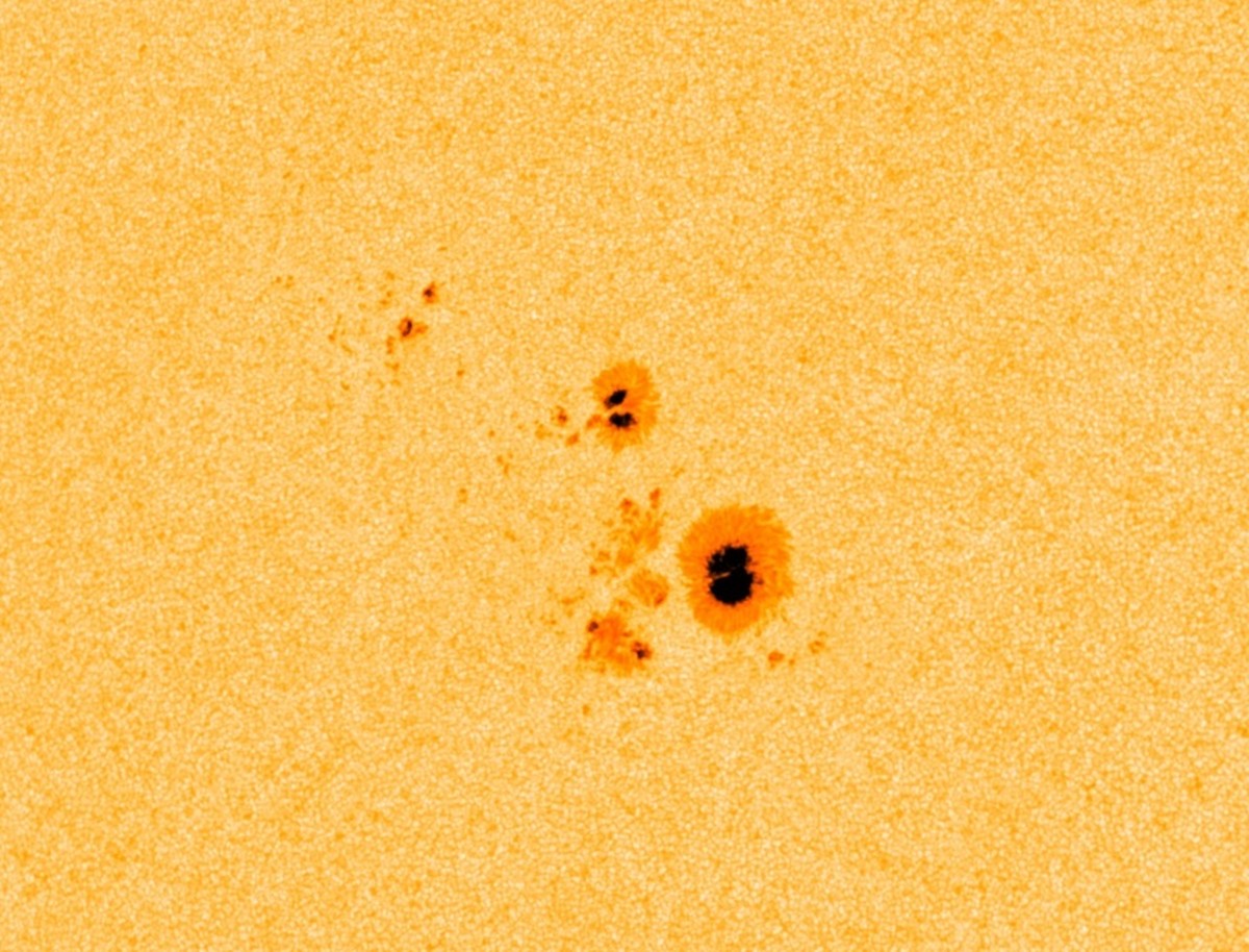 Nahaufnahme eines Sonnenflecks mit dunkler Umbra und grauer Penumbra