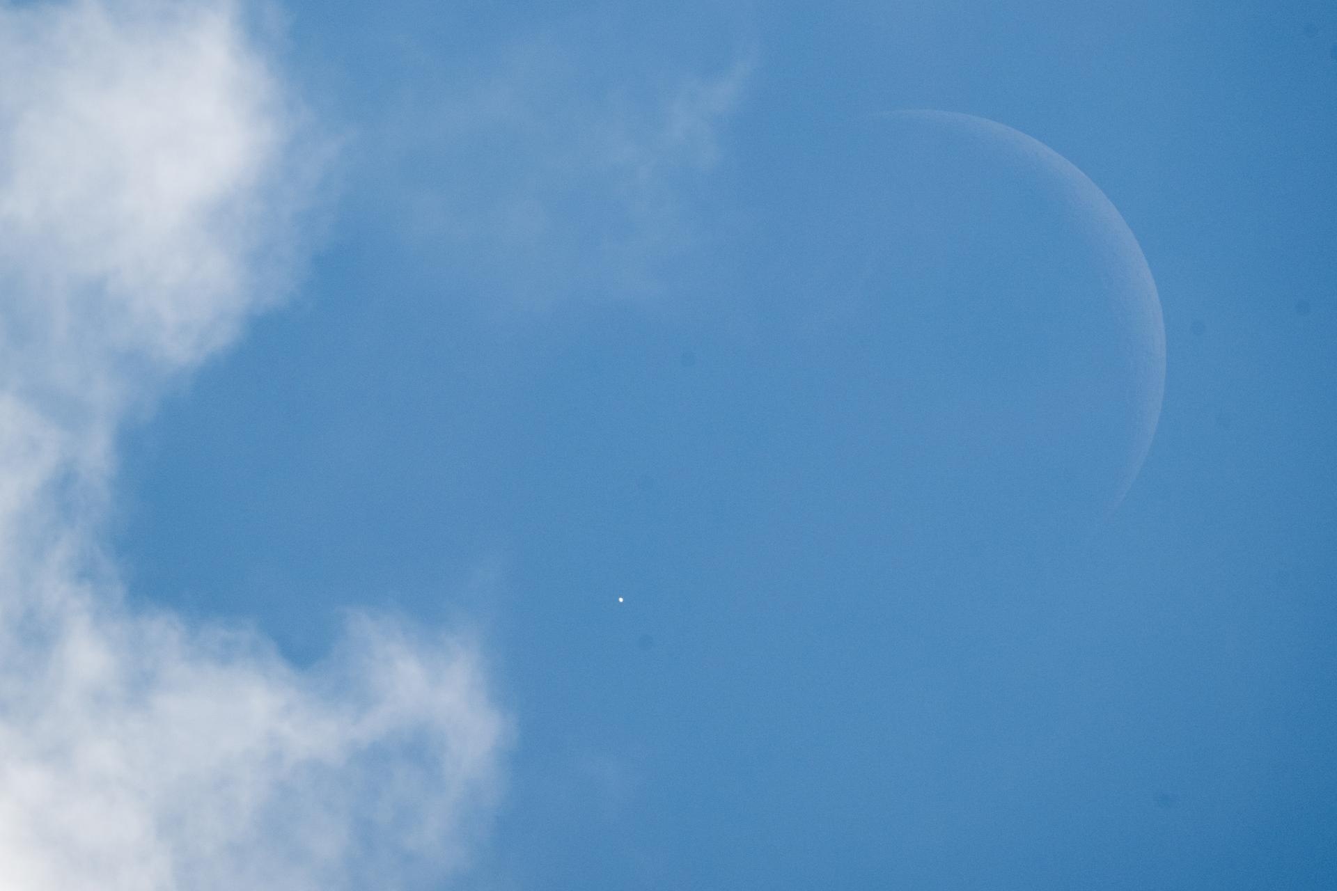 Der Mond bedeckt die Venus am hellen Taghimmel – aufgenommen am 17. Juni 2026 in Washington. Am 14. September 2026 wiederholt sich das Schauspiel über Mitteleuropa. (Foto: NASA/Joel Kowsky, gemeinfrei)
