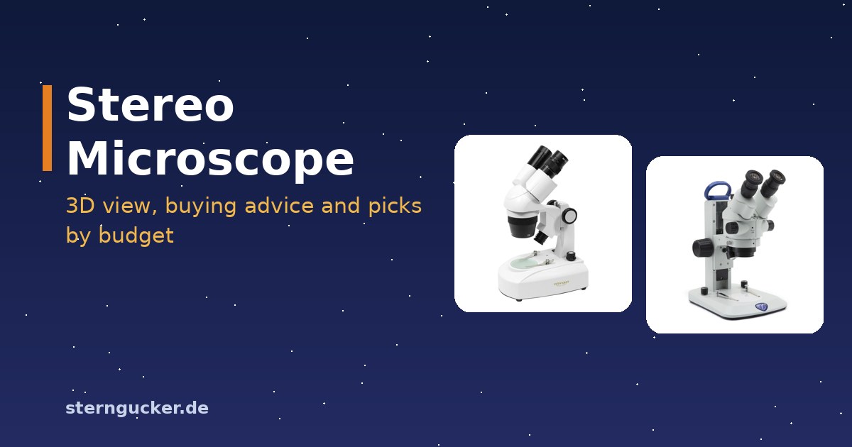 Stereo microscope with two eyepieces, with a beetle and a mineral underneath in top lighting
