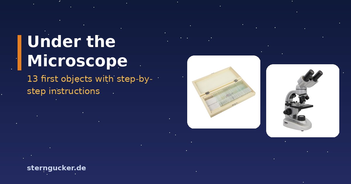 Microscopy at the kitchen table: microscope with an onion skin wet mount, pipette and cover glasses