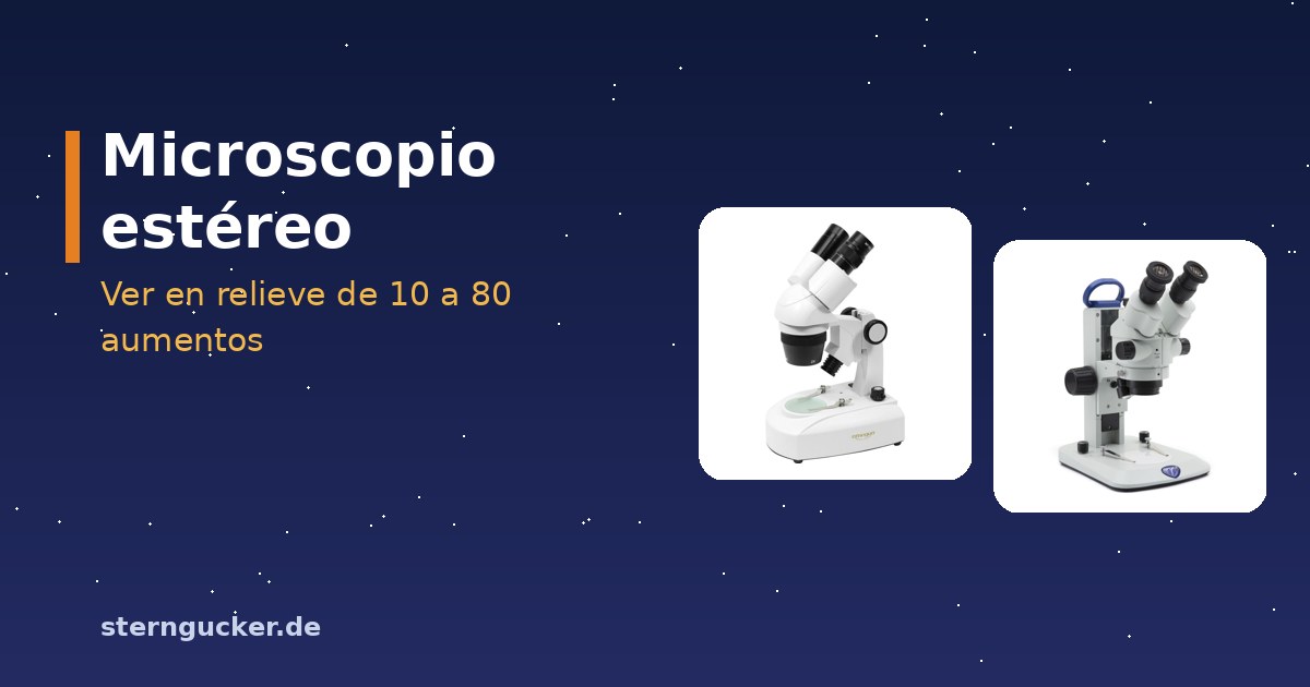 Microscopio estereoscópico con dos oculares y, debajo, un escarabajo y un mineral con luz incidente