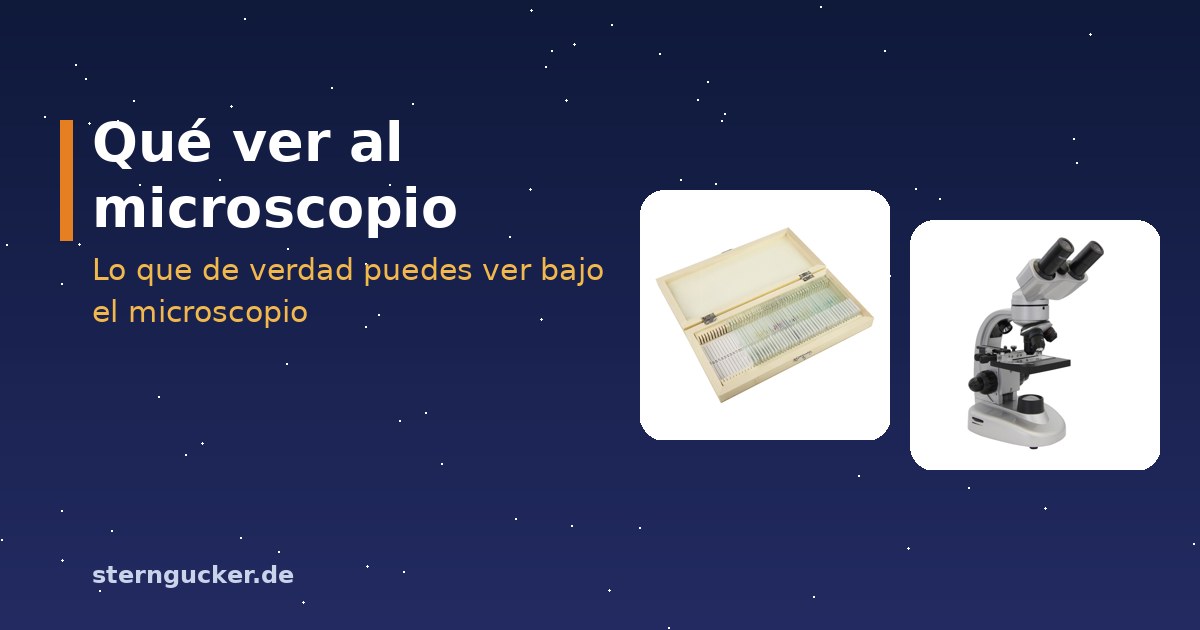 Microscopiar en la mesa de la cocina: microscopio con una preparación en fresco de piel de cebolla, pipeta y cubreobjetos
