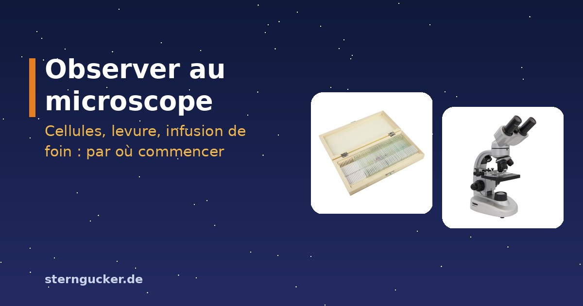 Observer au microscope sur la table de la cuisine : microscope avec préparation fraîche de pelure d’oignon, pipette et lamelles
