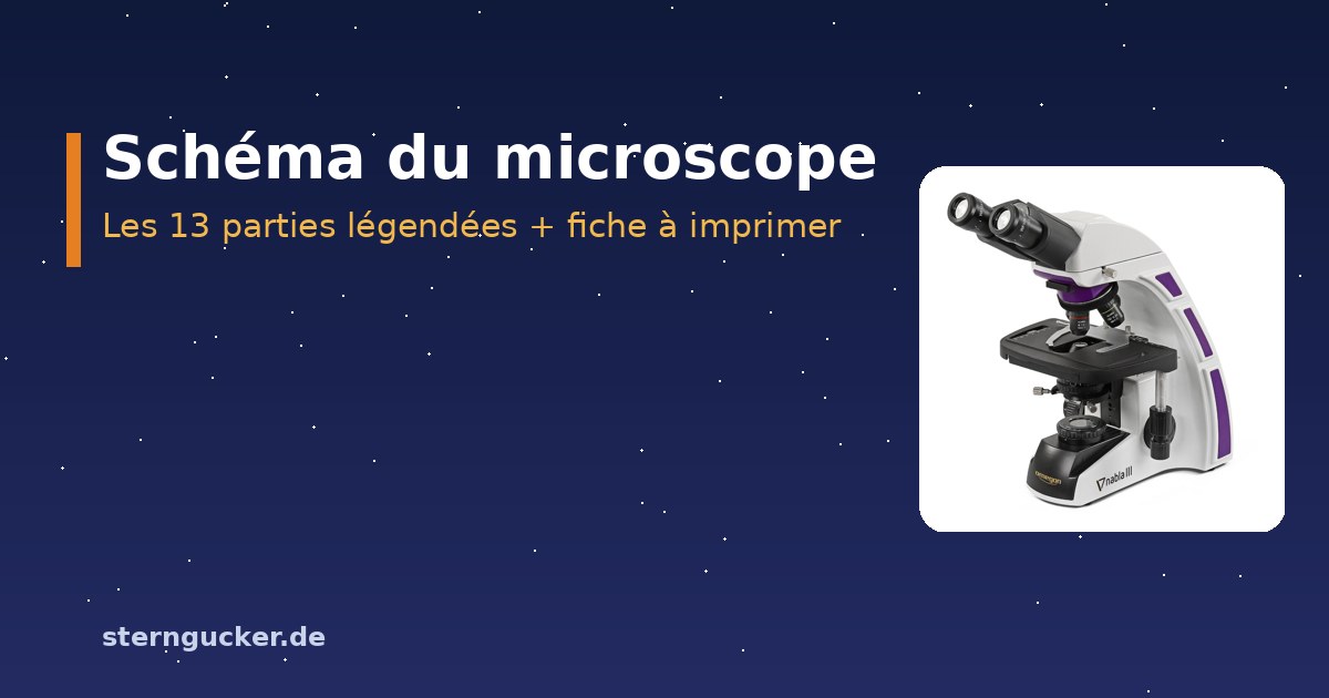 Microscope optique vu de profil avec légendes numérotées de l’oculaire, du revolver, de la platine, du condenseur et des vis de mise au point