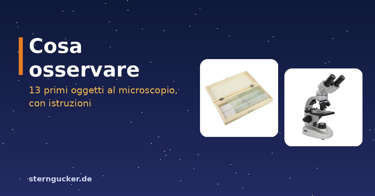 Osservare al microscopio sul tavolo della cucina: microscopio con preparato a fresco di buccia di cipolla, pipetta e coprioggetto