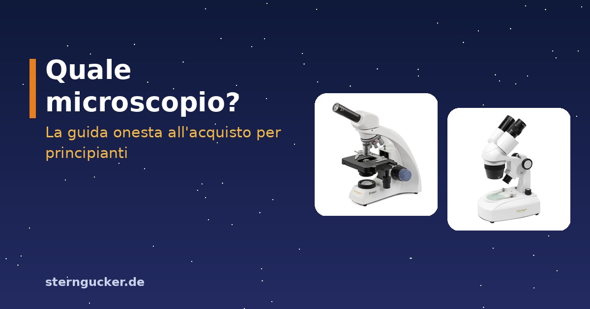 Microscopio ottico con vetrini e stereomicroscopio con un coleottero, uno accanto all'altro su un tavolo