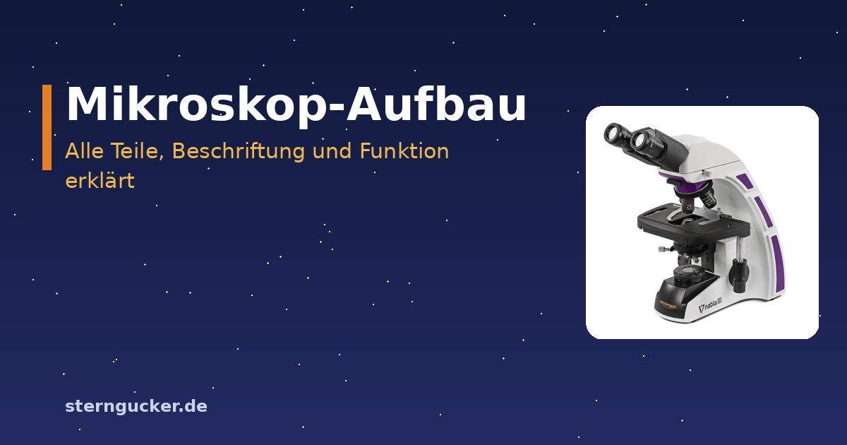 Aufbau eines Lichtmikroskops mit Beschriftung von Okular, Tubus, Objektiven, Objekttisch, Kondensor und Grob- und Feintrieb