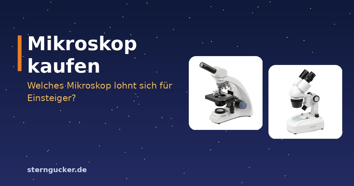 Durchlichtmikroskop mit Objektträgern und Stereomikroskop mit Käfer nebeneinander auf einem Tisch