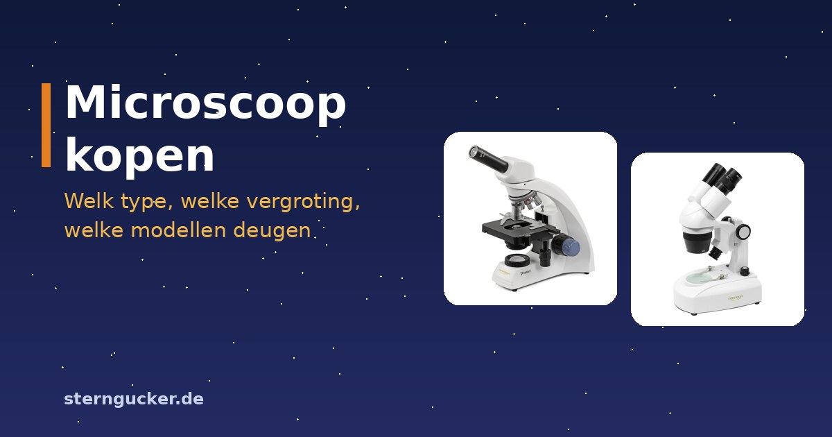 Doorvallend-lichtmicroscoop met objectglaasjes en een stereomicroscoop met een kever naast elkaar op een tafel