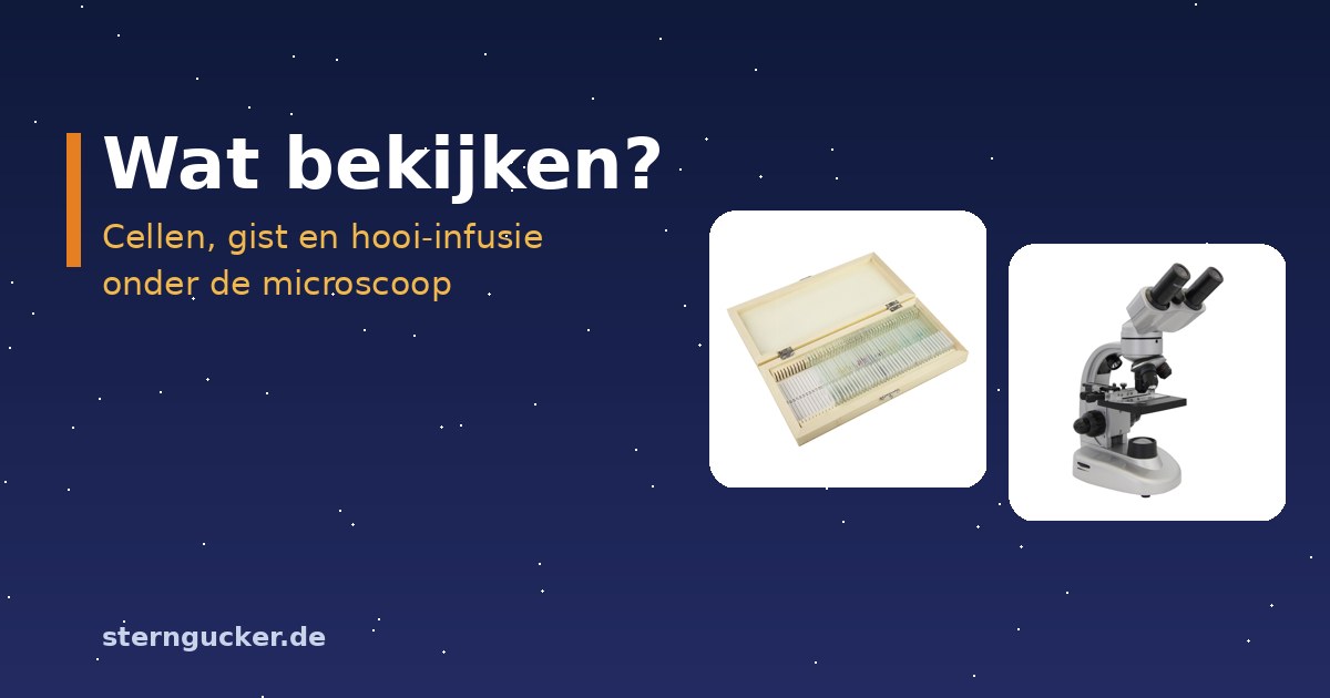 Microscoperen aan de keukentafel: microscoop met een nat preparaat van uienvlies, pipet en dekglaasjes