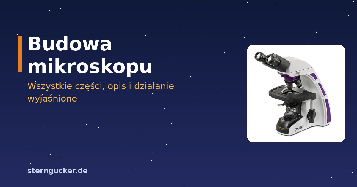 Budowa mikroskopu optycznego z opisem okularu, tubusu, obiektywów, stolika, kondensora oraz śruby makro- i mikrometrycznej
