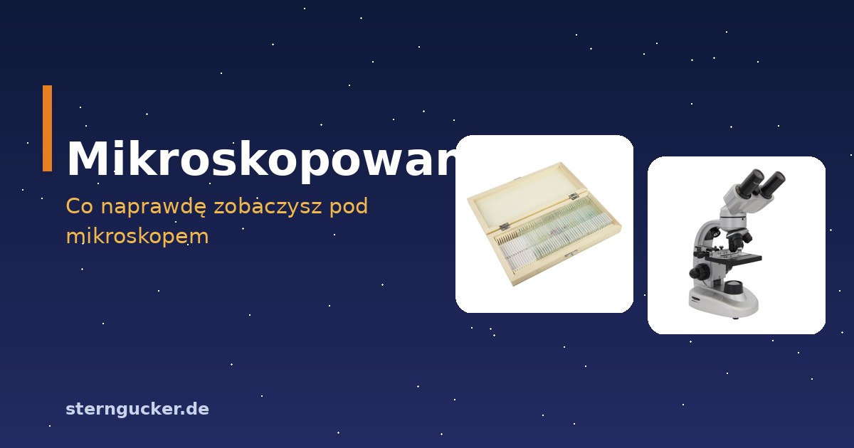 Mikroskopowanie przy kuchennym stole: mikroskop z preparatem świeżym ze skórki cebuli, pipetą i szkiełkami nakrywkowymi