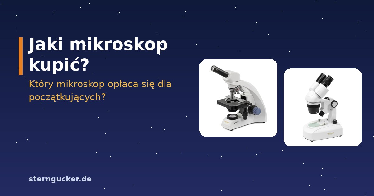 Mikroskop biologiczny ze szkiełkami podstawowymi i mikroskop stereoskopowy z chrząszczem obok siebie na stole