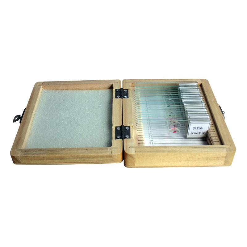 Omegon Dauerpräparate-Set, 20 Stück (Holzbox)