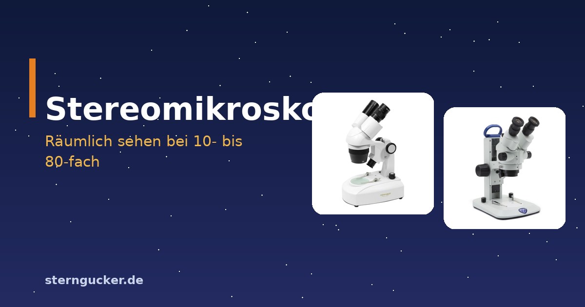 Stereomikroskop mit zwei Okularen, darunter ein Käfer und ein Mineral im Auflicht