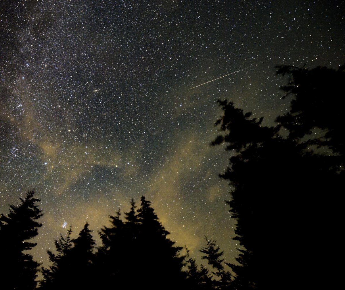 Cielo nocturno lleno de estrellas con la estela de un meteoro sobre siluetas de árboles