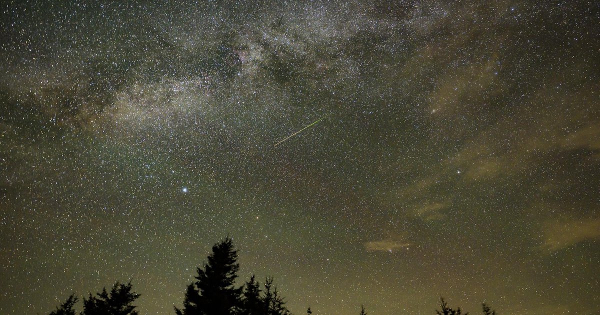 Cielo estrellado con la Vía Láctea sobre coníferas oscuras
