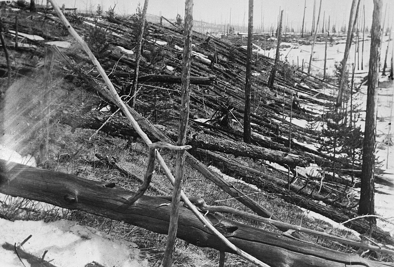 Umgestürzte und kahle Baumstämme im Tunguska-Gebiet auf einem historischen Schwarz-Weiß-Foto von 1929