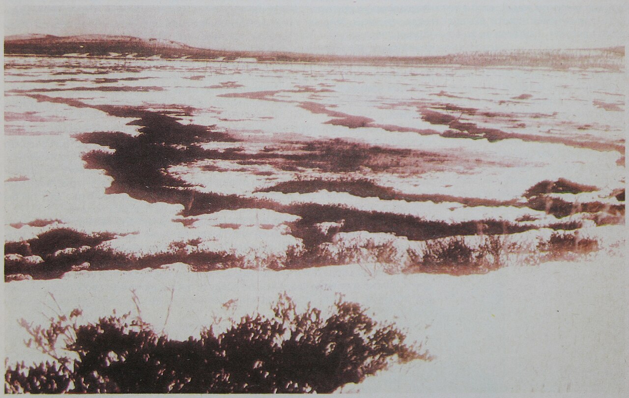 Historisches Schwarz-Weiß-Foto der sumpfigen Senken im Zentrum des Tunguska-Gebiets
