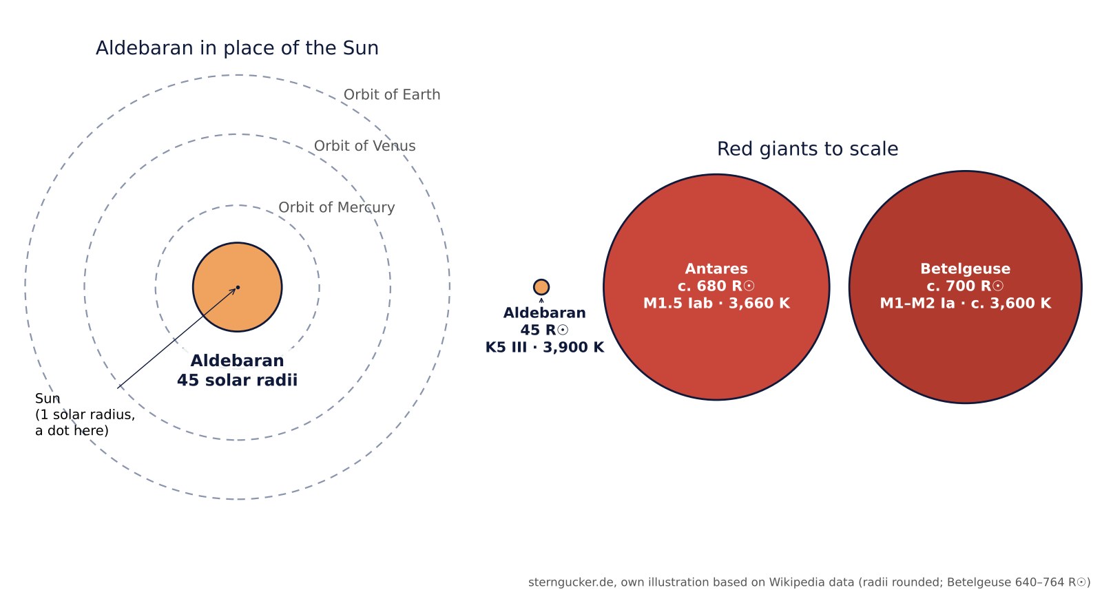 Size comparison: Aldebaran in place of the Sun with the orbits of Mercury, Venus and Earth, and Aldebaran next to the supergiants Antares and Betelgeuse to scale