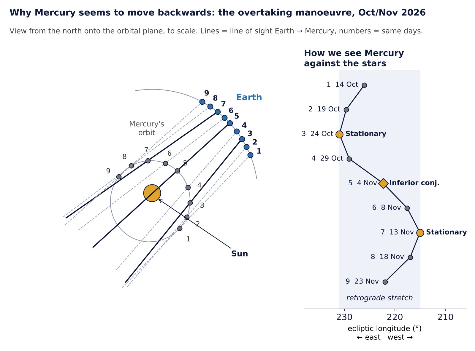 Top view to scale of the orbits of Mercury and Earth in October and November 2026 with lines of sight and the resulting back-and-forth motion of Mercury against the stars