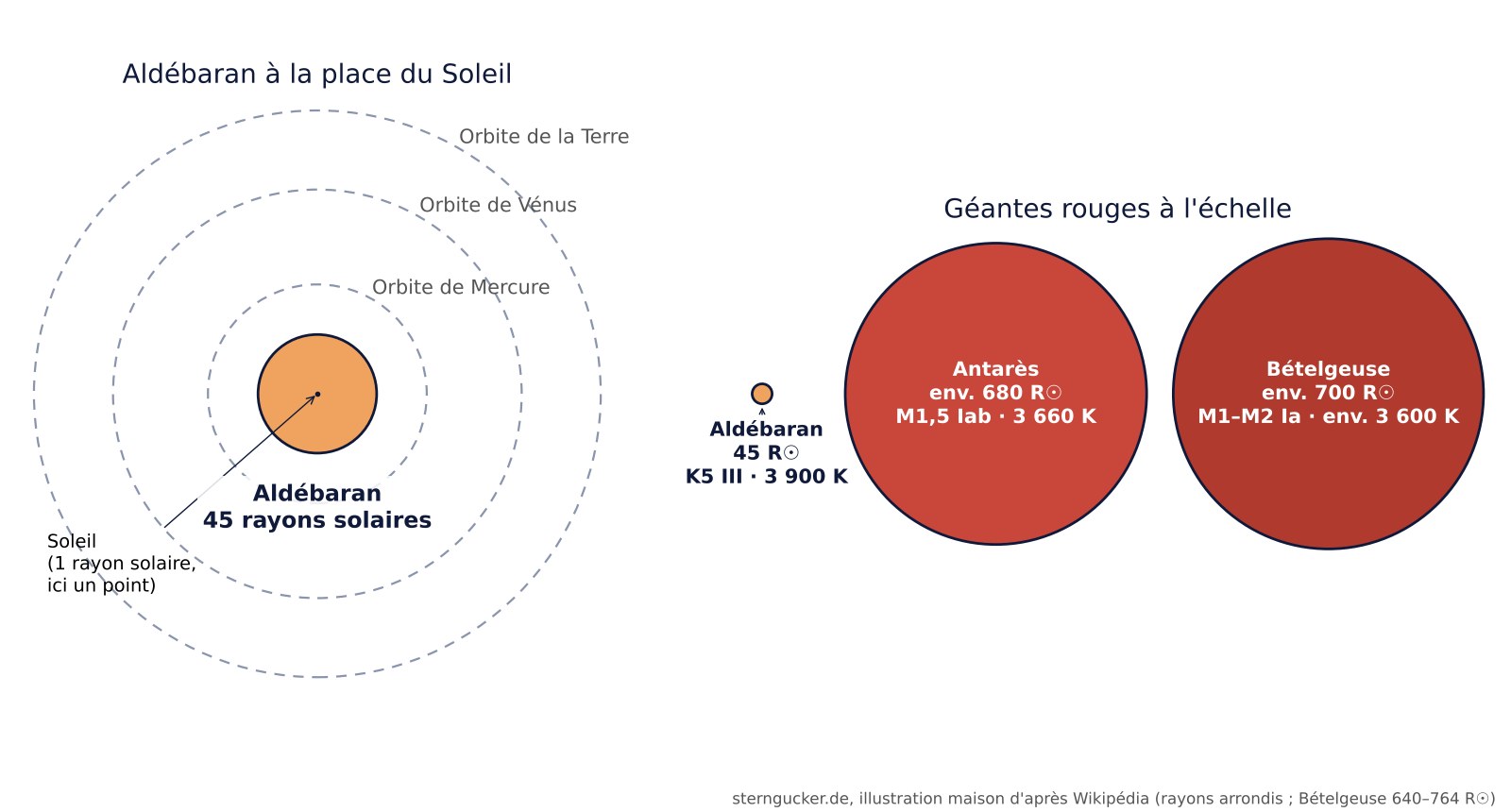 Comparaison de taille : Aldébaran à la place du Soleil avec les orbites de Mercure, Vénus et la Terre, et Aldébaran à côté des supergéantes Antarès et Bételgeuse à l'échelle