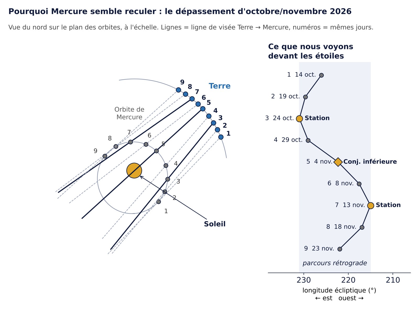Vue de dessus à l'échelle des orbites de Mercure et de la Terre en octobre et novembre 2026 avec les lignes de visée et le va-et-vient de Mercure devant les étoiles qui en résulte
