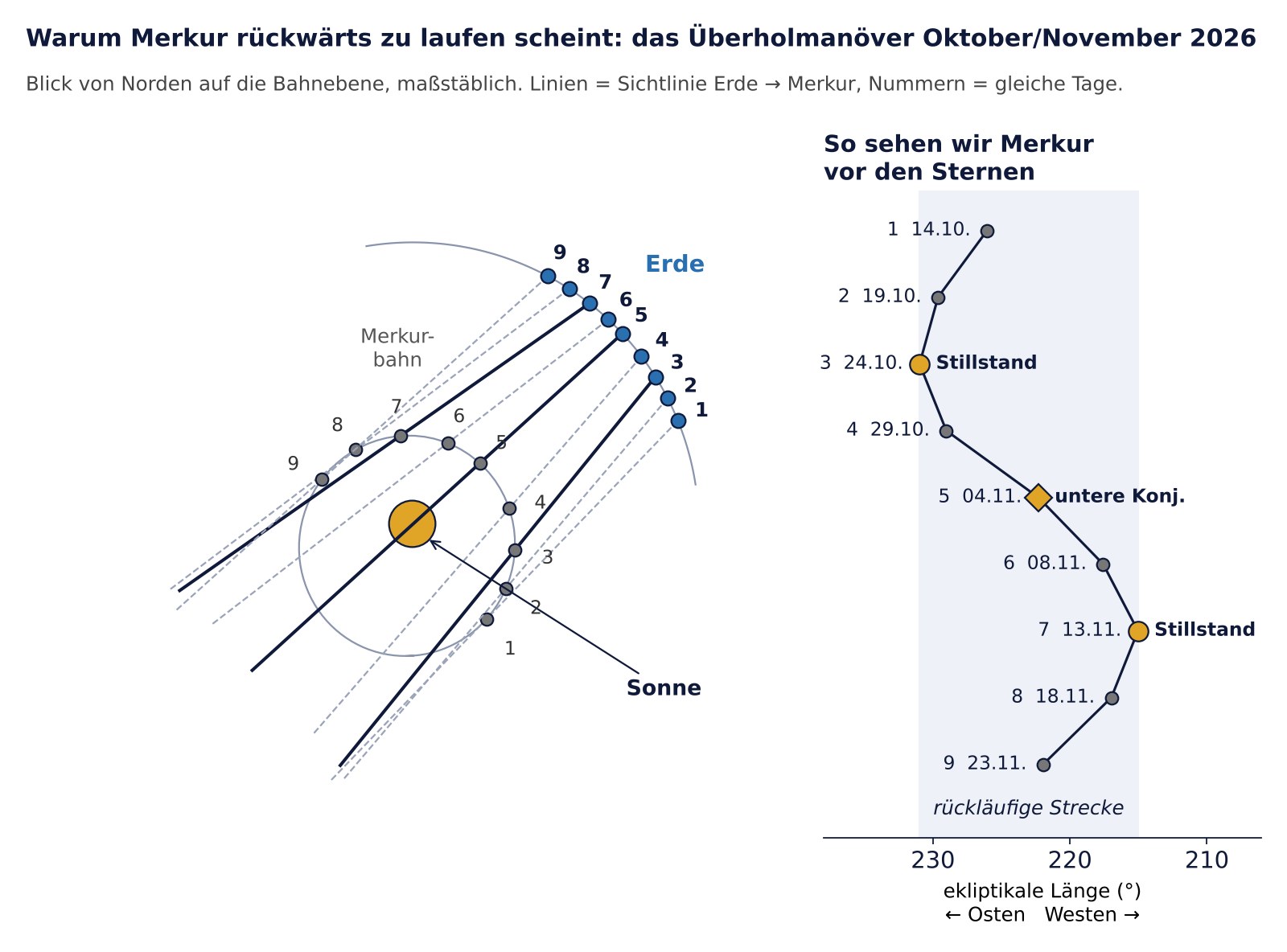 Maßstäbliche Draufsicht auf die Bahnen von Merkur und Erde im Oktober und November 2026 mit Sichtlinien und der daraus folgenden Hin-und-her-Bewegung Merkurs vor den Sternen